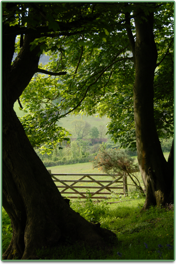 Hartsbarn farmgate