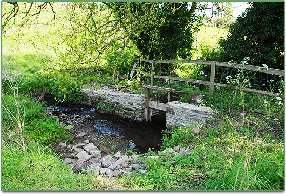 Millpond restoration project